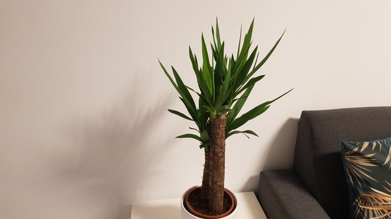 Amik apartament Wroclaw Luaran gambar